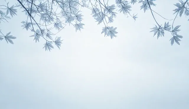如何通过性能优化提升学习效率