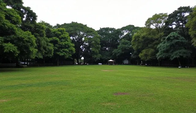 分类清晰产品如何应对复杂应用场景